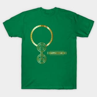 Pictish Mirror and Comb T-Shirt